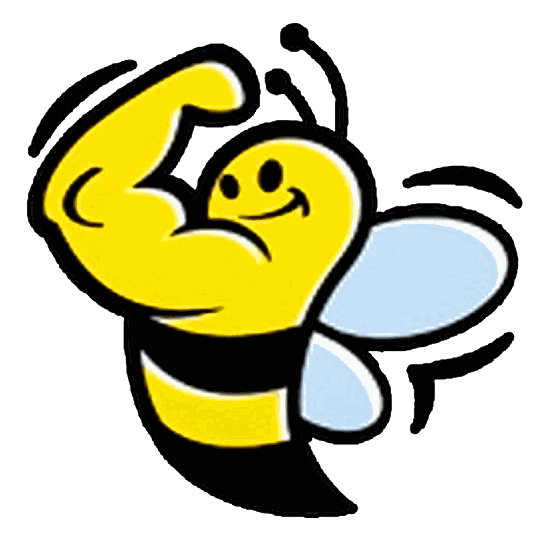 KB Fitness